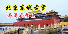 逼好软好嫩视频大全中国北京-东城古宫旅游风景区